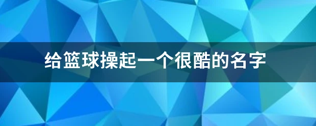 篮球训练心得300字怎么写的_1